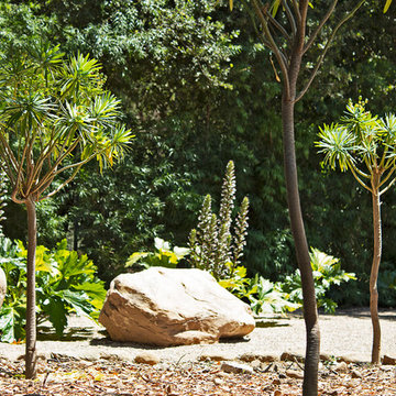 New 1-Year-Old Garden