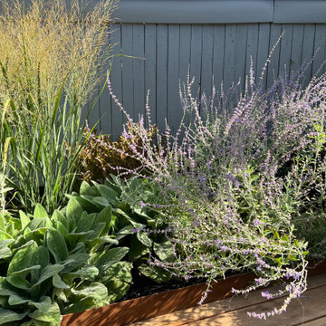 Sunset Park Family Garden