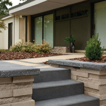 Low Maintenance Backyard