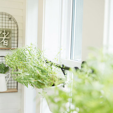 Porch Lavender