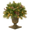 18" Frosted Berry Porch Bush With Clear Lights, 24"