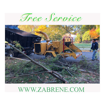 Tree Service