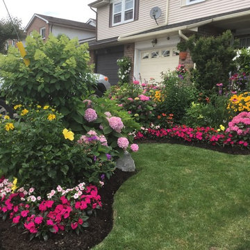Garden With Bursting Colour