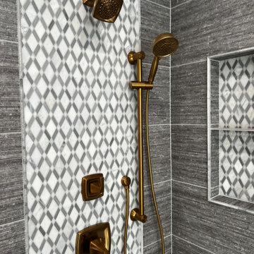 Carol Stream Master Bathroom