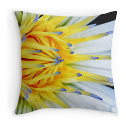 Cushions & Covers - "Colourwheel" - Decorative Cushions