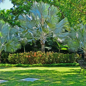 MIAMI BEACH TIMELESS
