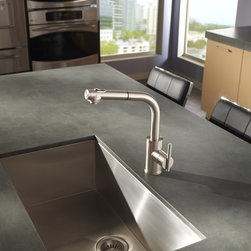 Danze Parma Single Handle Pull-Out Kitchen Faucet - Kitchen Faucets