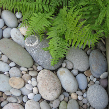 My Garden