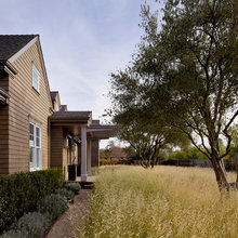 MODERN landscape