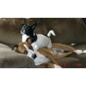 Lareina Jessee's photo