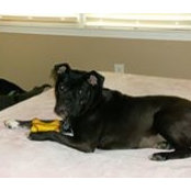 Cathy Mintz's photo