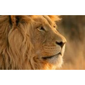Isui Rguez's photo