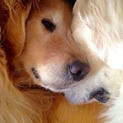 Glenn Godley's photo