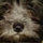 wes_gardner73