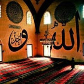 Azza Nasr's photo