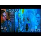 Foto von Romeo_Juliet Minhas