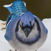Nancy Eisener's photo