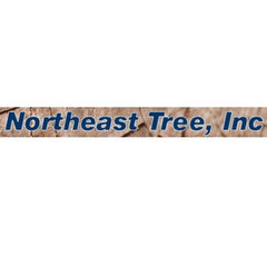 Northeast Tree