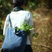 Inaba Ayukos billede