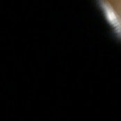 Tracis foto