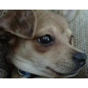 Christie Baum's photo