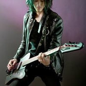 Foto di Wolf Red