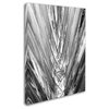 Patty Tuggle 'Black and White Palm 4' Canvas Art, 32x24