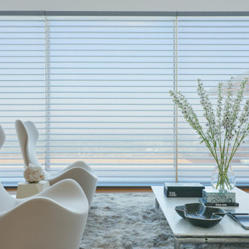 Window Treatment Examples
