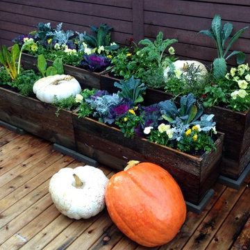 Container Design