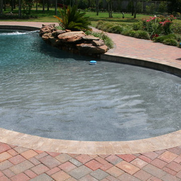 Tropical Pool | Craddock Residence