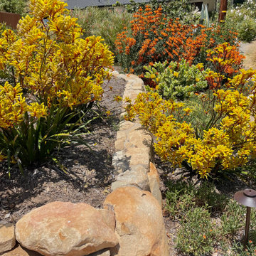 Orange and yellow Mediterranean