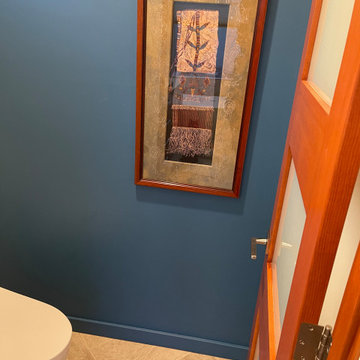 Interior Remodel: Arizona toilet closet