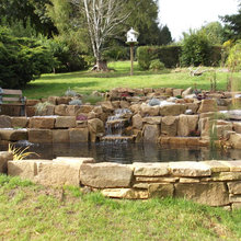 Garden Pond