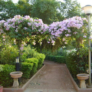Landscape Design Zaveri & Co.