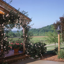 Landscaping Ideas