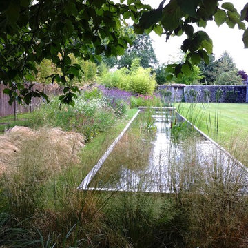 Jardin bassin biologique