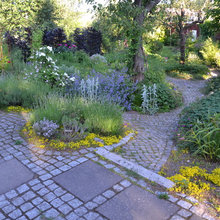Patio/Garden Ideas