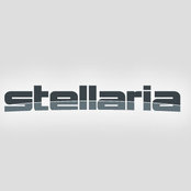 Stellaria NZ Ltd's photo
