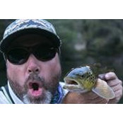 Foto de Todd Stanley
