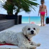 Miroslav Orgon's photo