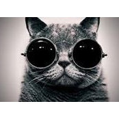 Elena Minchevska's photo