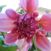 Heidi Blakeney's photo