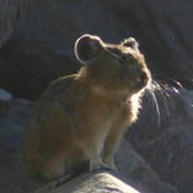 Ben Hummel's photo