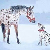 Sandra Aun's photo