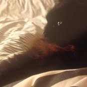 Georgina Ough's photo