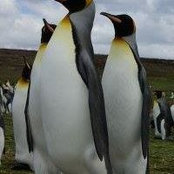 Gary Fox's photo