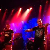 Photo de Hadar Goldman
