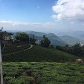 Deepak Upadhyay's photo