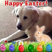 Sheila Jaymot's photo