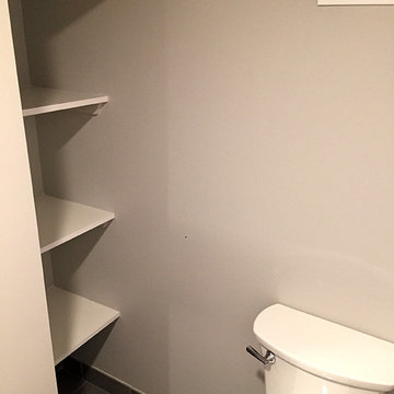 New Contemporary Basement Bathroom